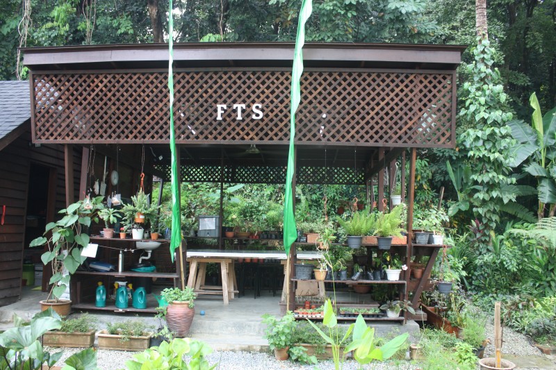 Volunteering In Kuala Lumpur: Free Tree Society