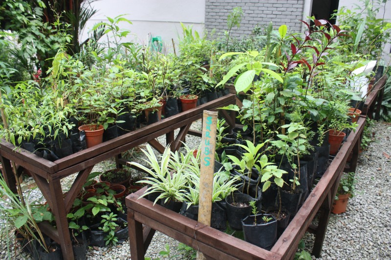 03_Herbs