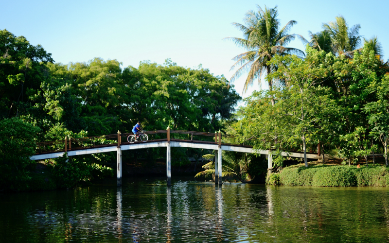 Bang Krachao Park