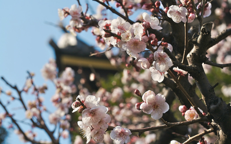 01_Yuichi Kosio_405456044