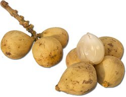 fruit1