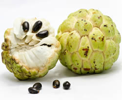 fruit2