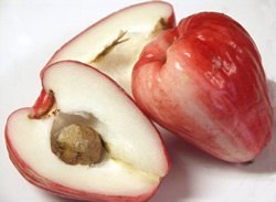 fruit5
