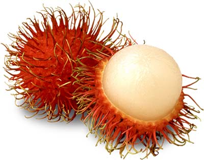 rambutan-1