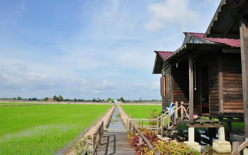 05KampungDorani