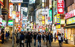 japantipssmall