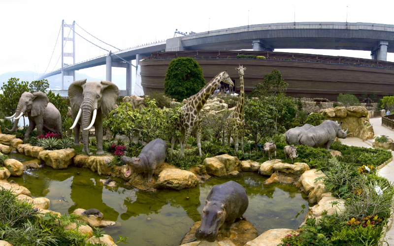 Noah's Ark Hong Kong