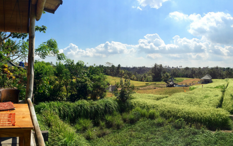 Ubud_01_Sari_Organik_view2