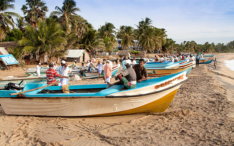 Arugam-Bay