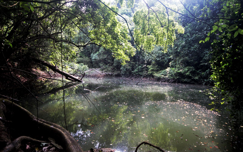 Keppel-Hill-Reservoir-Trek_2