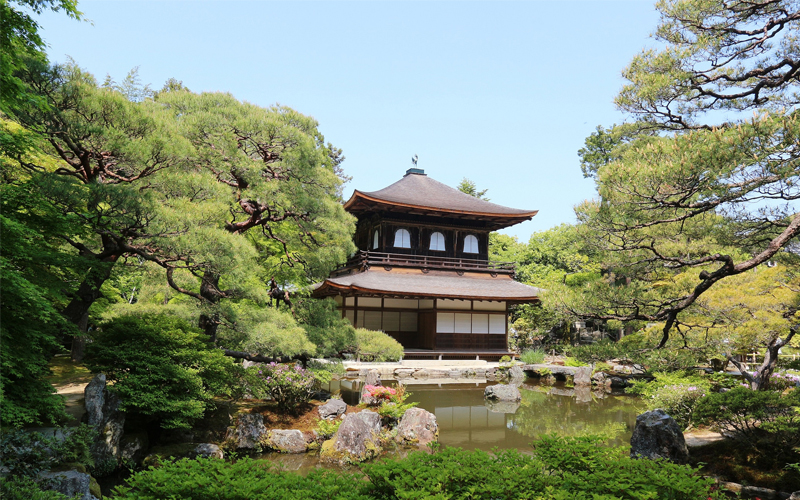 kyoto3