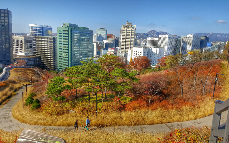 21 Photos of Seoul During Autumn That Will Make You Fall In Love With The City