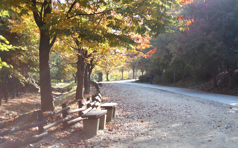 18_SeoulForest