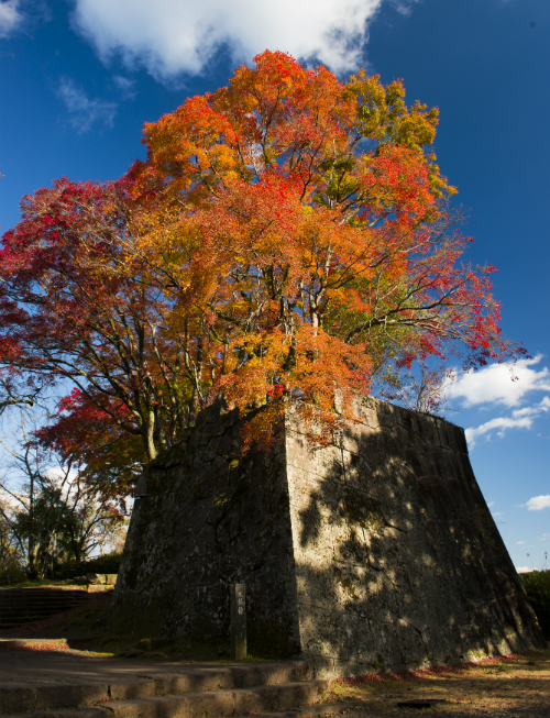Oita Hot Spring Tour - Okajo_castle