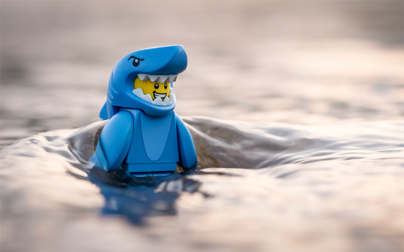 Malaysians Are More Afraid of Shark Attacks Than Drowning & Other Facts