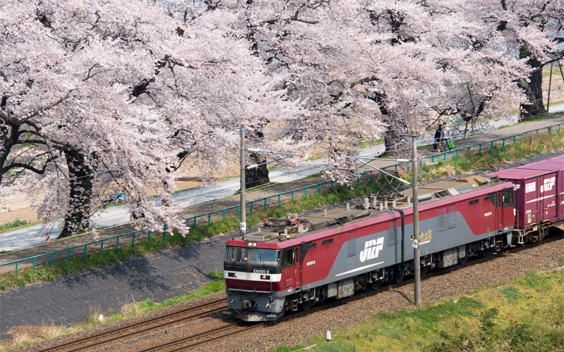 How To Discover 3 of Japan’s Most Charming Hideaways By Train