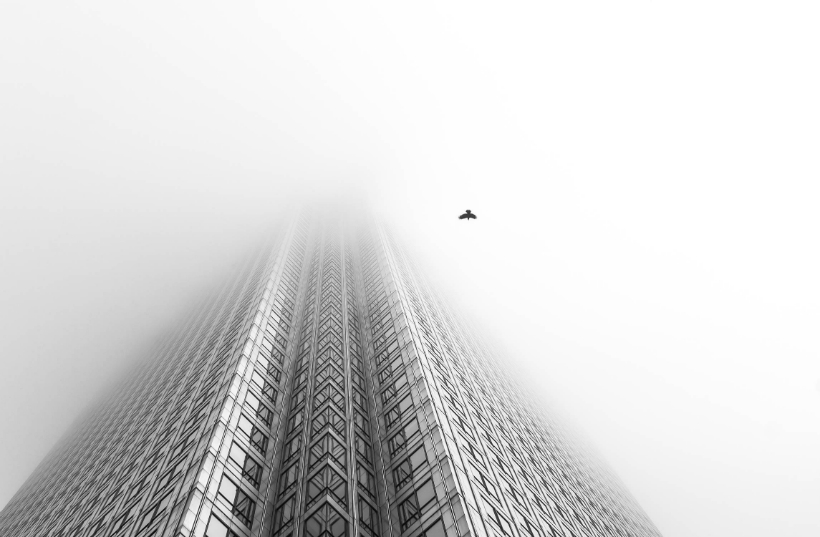 british nature bw