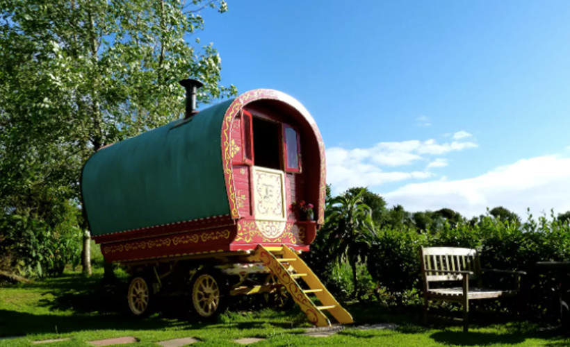 wagon1
