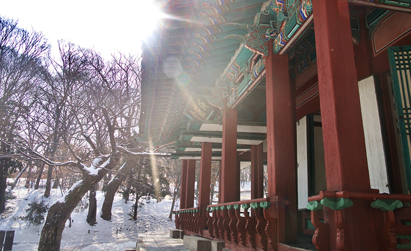 Embracing Snow At The Secret Garden Of Changdeokgung Palace