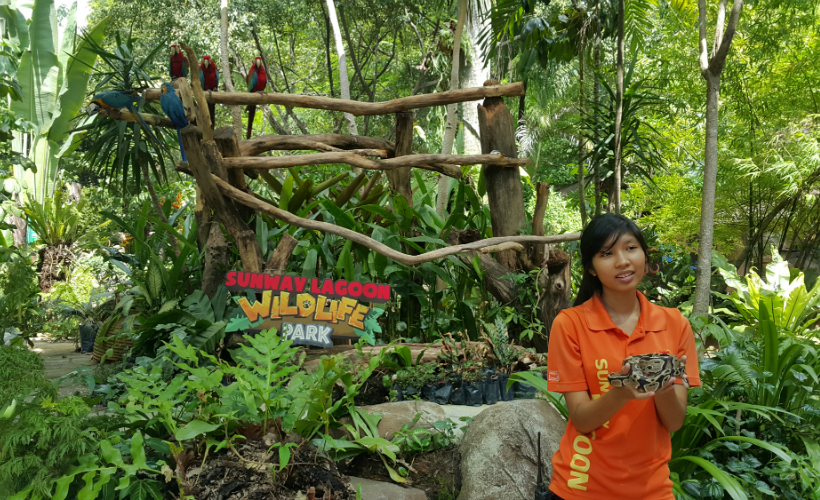 WildlifePark_Snake