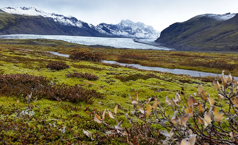 Iceland-4