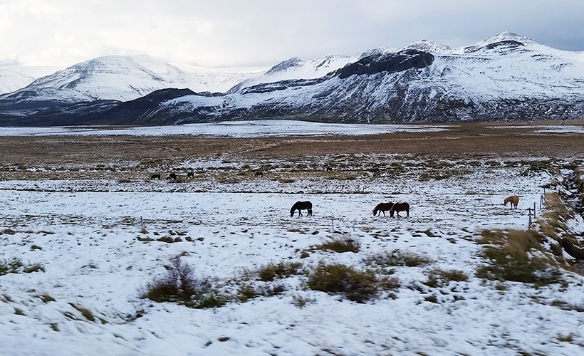 Iceland-6