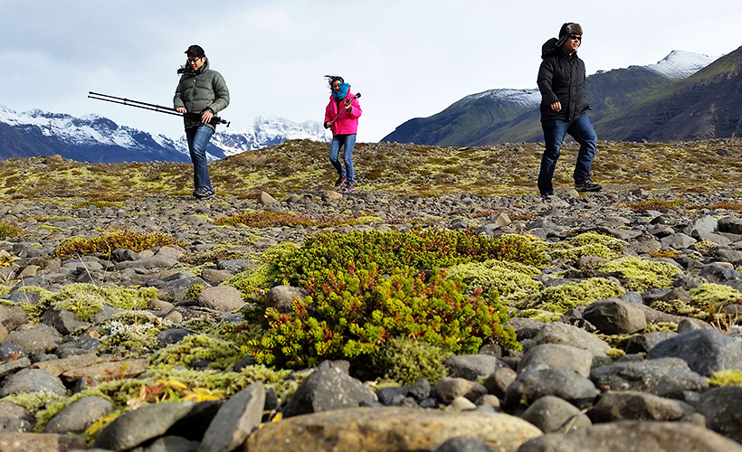 Iceland, Before It Was Cool