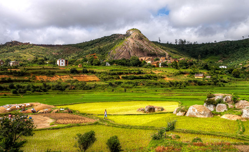 A vacation in Madagascar's wilderness is just what the doctor ordered for you!