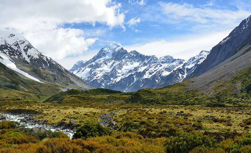 Scorpi-_New_zealand