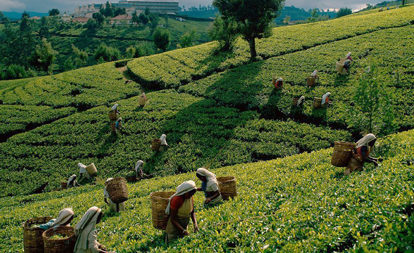 6 Unique Reasons To Visit Bangladesh