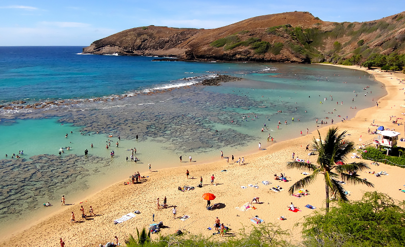 The 5 Best Beaches To Visit In Honolulu