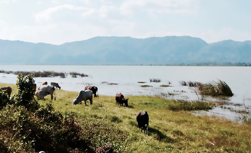4 Reasons Perlis, Malaysia Is Worth A Road Trip