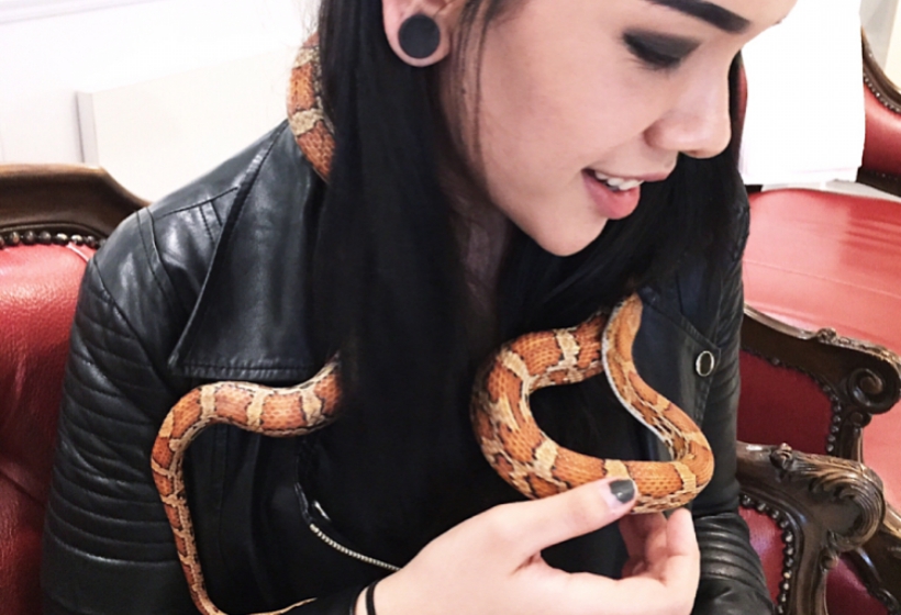 Would You Pay To Have Coffee With A Snake At Your Table?