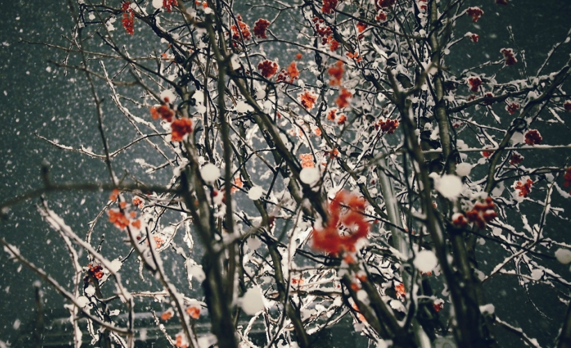 Can’t Afford To Venture Far? Here Are 7 Asian Winter Wonderlands