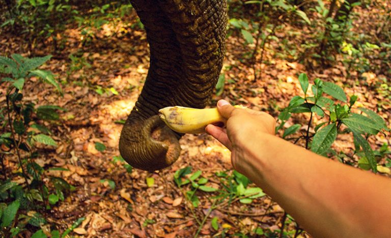 Mondulkiri, Cambodia, At A Glance