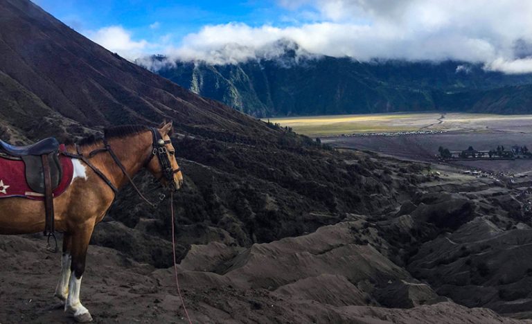 Exploring Indonesia’s Ring Of Fire