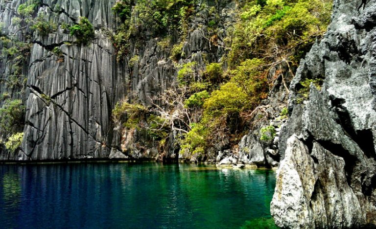 Diving in Barracuda Lake, Coron, Philippines