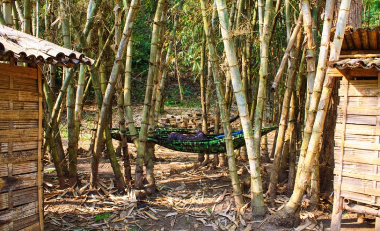 The Highs And Lows of Trekking Through Hsipaw, Myanmar