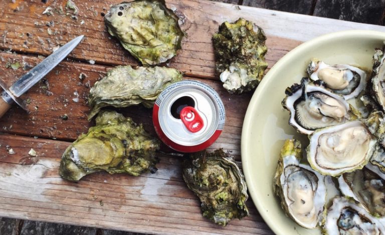 Pearl Diving In Bahrain