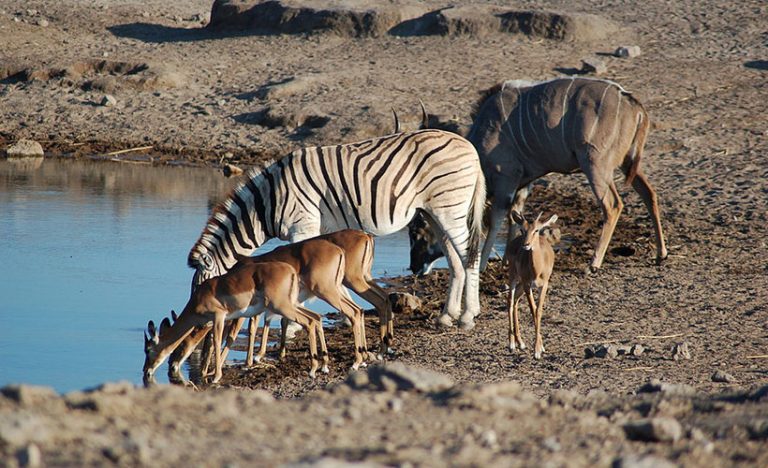 7 Exciting Places To Visit In Namibia