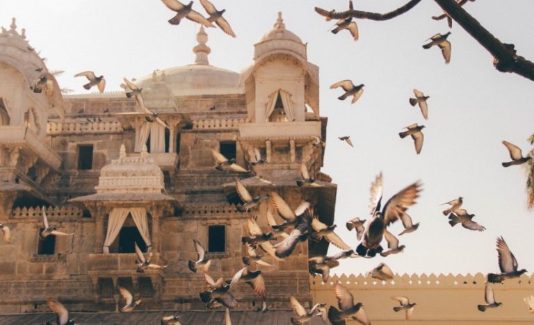 Exploring India By Luxury Train: The Most Scenic Way You Can Travel