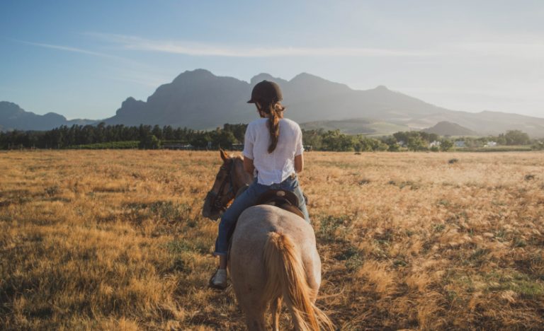 The Best Horse-Riding Destinations For Riding Enthusiasts