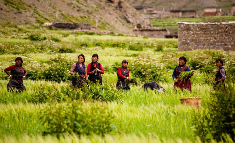 A Traveller’s Summer Sightseeing & Eating Guide To Nepal