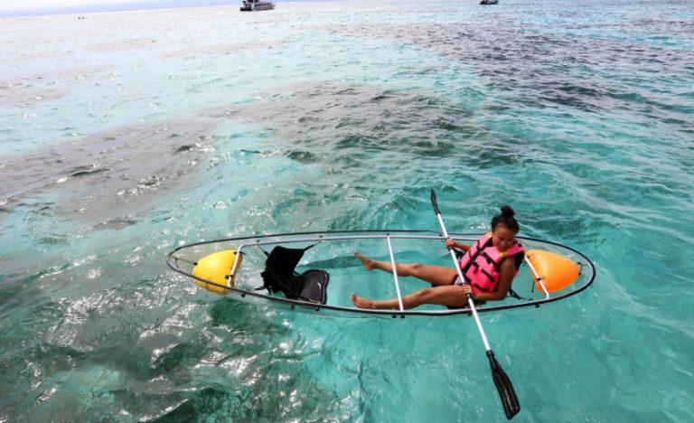 Clear Kayaking in Florida, USA: An Unforgettable Sunshine State Adventure