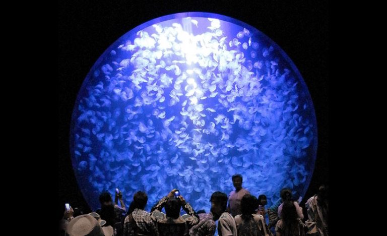 Tsuruoka, Japan: The Three Mountains Of Dewa, Mummies, And Record-breaking Jellyfish