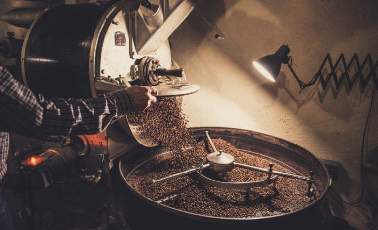 Best Coffee Tours In The World When Travelling
