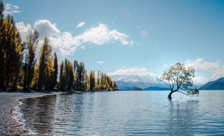 4 Tranquil Spots To Experience Nature & Wildlife In New Zealand