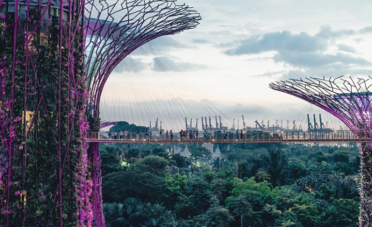 The Essential Guide To Singapore’s Gardens By The Bay