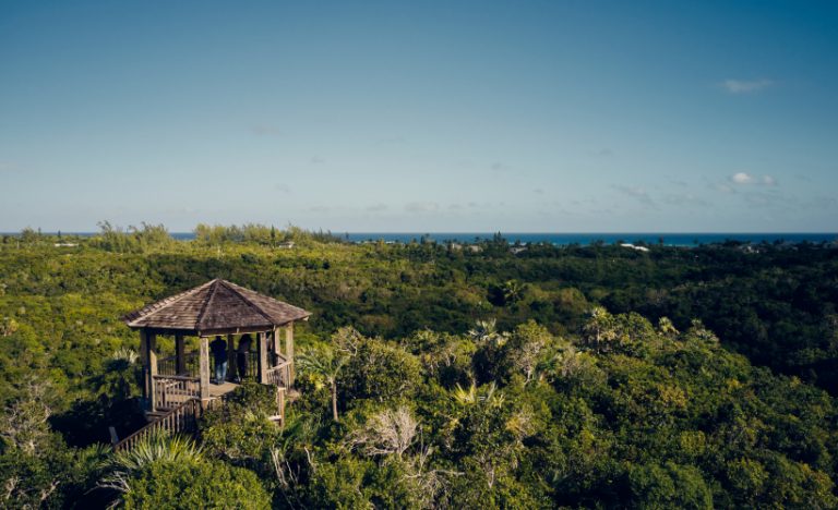 The Bahamas Sabbatical: Move To The Bahamas For Two Months With Airbnb