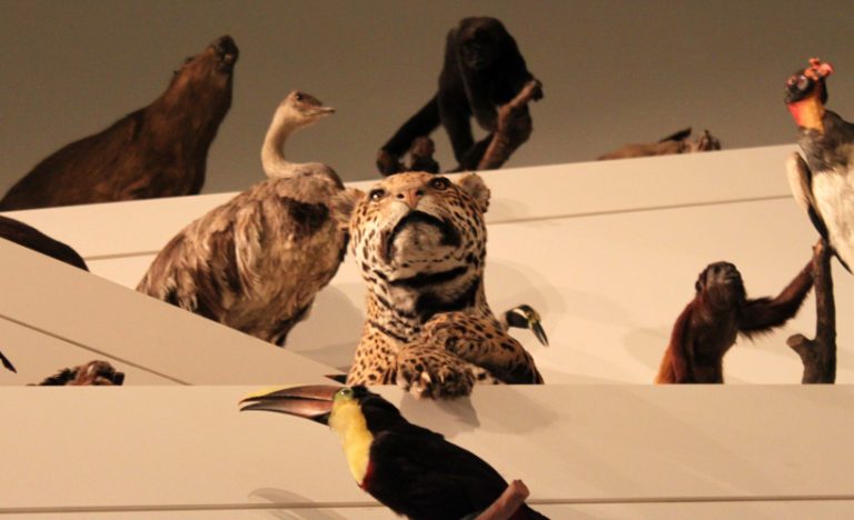 A Guide To Melbourne, Australia’s Best Museums & Art Galleries
